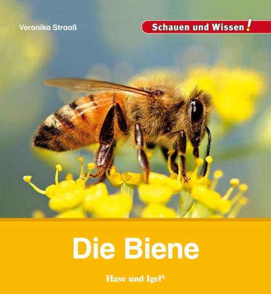 hugendubel Veronika Straaß: Die Biene bei. Online bestellen oder in der Filiale abholen Super Sparpreis