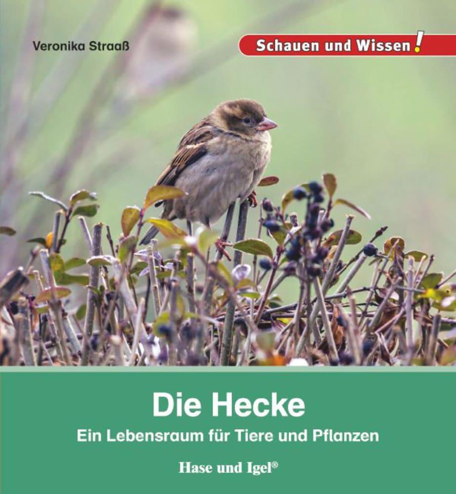 hugendubel Veronika Straaß: Die Hecke bei. Online bestellen oder in der Filiale abholen