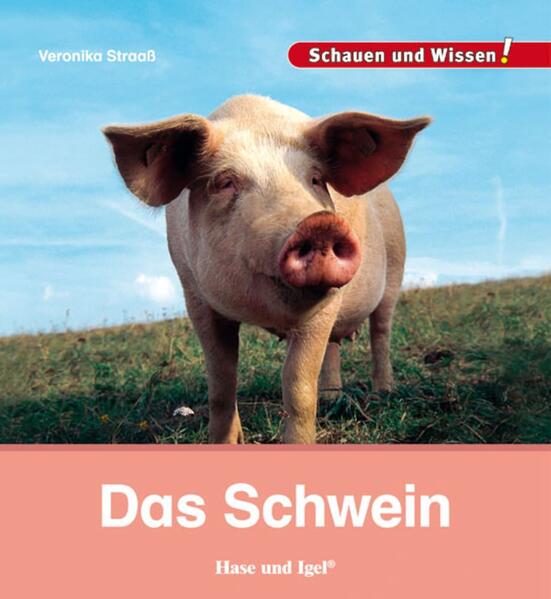 hugendubel Veronika Straaß: Das Schwein bei. Online bestellen oder in der Filiale abholen