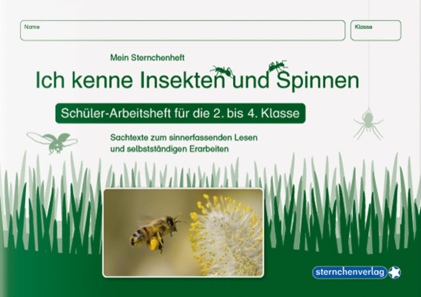 hugendubel Katrin Langhans sternchenverlag GmbH: Ich kenne Insekten und Spinnen - Schülerarbeitsheft für die 2. bis 4. Klasse bei. Online bestellen oder in der Filiale abholen Saisonale Angebote