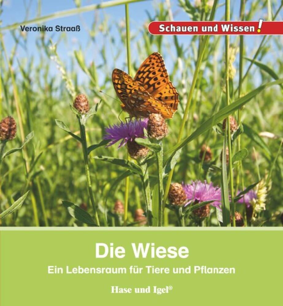 hugendubel Veronika Straaß: Die Wiese bei. Online bestellen oder in der Filiale abholen Vatertagsangebot