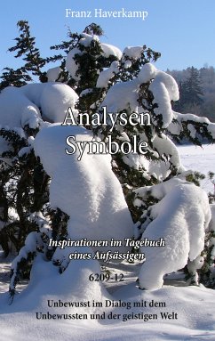 buecher Analysen Symbole 6209-12 (eBook ePUB) von Franz Haverkamp - bücher.de
