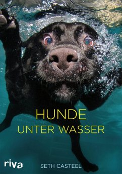 buecher Hunde unter Wasser (eBook PDF) von Seth Casteel - bücher.de Lagerräumung