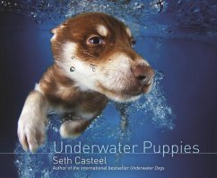 buecher Underwater Puppies (eBook ePUB) von Seth Casteel - bücher.de