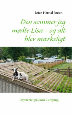 buecher Den sommer jeg mødte Lisa - og alt blev mærkeligt (eBook ePUB) von Brian Herstal Jensen - bücher.de Große Rabatte