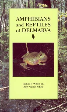 zvab Amphibians and Reptiles of Delmarva von White James F. White Amy Wendt: Good (2002)