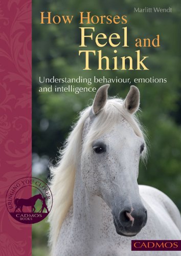 zvab How Horses Feel and Think: Understanding Behaviour Emotions and Intelligence (Bringing You Closer) von Marlitt Wendt: Very Good Paperback (2011)