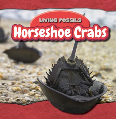zvab Horseshoe Crabs von Hemstock Annie Wendt: Good (2014)