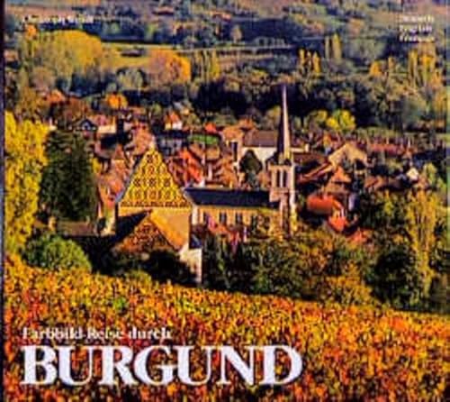 zvab Farbbild-Reise durch Burgund von Wendt Christoph: Gut Hardcover (2001) nein