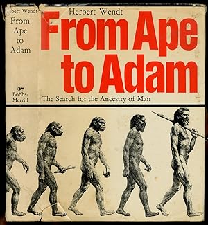zvab From Ape to Adam: The Search for the Ancestry of Man von WENDT Herbert: Very Good Hardcover (1972)