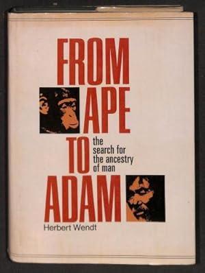 zvab From ape to Adam: The search for the ancestry of man /Herbert Wendt von Wendt Herbert: Good Angebote