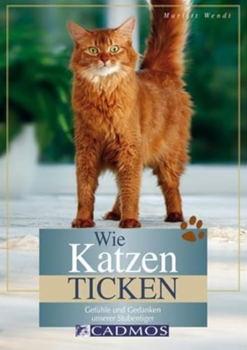 zvab Wie Katzen ticken: Gefühle und Gedanken unserer Stubentiger (Cadmos Heimtierpraxis) von Marlitt Wendt: Good (2010)