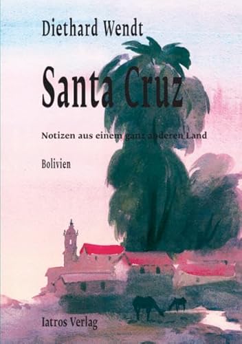 zvab Santa Cruz: Bolivien - Notizen aus einem ganz anderen Land von Wendt Diethard: Gut bis sehr gut Softcover (2005)