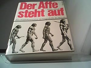 zvab Der Affe steht auf Eine Bilddokumentation zur Vorgeschichte des Menschen von Wendt Herbert:: gebundene Ausgabe (1971) Auflage: 1